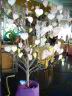 DSC04642r_web.JPG